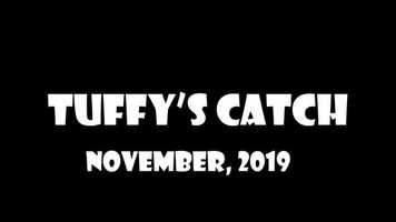 Free download Tuffys Catch - Teaser trailer video and edit with RedcoolMedia movie maker MovieStudio video editor online and AudioStudio audio editor onlin