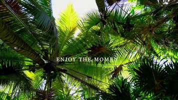 Free download TULUM- Paradise for two... video and edit with RedcoolMedia movie maker MovieStudio video editor online and AudioStudio audio editor onlin