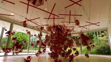 Free download Tunga_ o Esquecimento das Paixões (2019) - Trailer.mp4 video and edit with RedcoolMedia movie maker MovieStudio video editor online and AudioStudio audio editor onlin