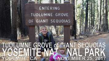 Free download Tuolumne Grove of Giant Sequoias - Remastered 2020 (filmed on a Sony a6500 + 50mm) video and edit with RedcoolMedia movie maker MovieStudio video editor online and AudioStudio audio editor onlin