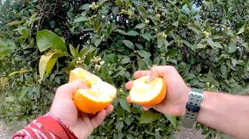 Free download Turkey 2021. Likya Yolu. Турция 2021. video and edit with RedcoolMedia movie maker MovieStudio video editor online and AudioStudio audio editor onlin