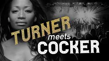 Free download Turner meets Cocker - The Story of Tina and Joe video and edit with RedcoolMedia movie maker MovieStudio video editor online and AudioStudio audio editor onlin