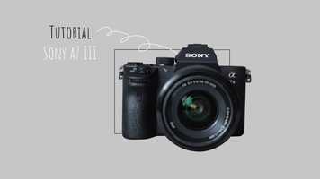 Free download TUT_AVAAPII_2019_20_Yanaika_VandenAbbeel video and edit with RedcoolMedia movie maker MovieStudio video editor online and AudioStudio audio editor onlin