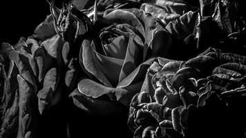 Free download Tuzla, City of Salt video and edit with RedcoolMedia movie maker MovieStudio video editor online and AudioStudio audio editor onlin