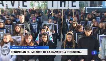 Free download TVE - Igualdad Animal denuncia el impacto de la ganadera industrial en el planeta video and edit with RedcoolMedia movie maker MovieStudio video editor online and AudioStudio audio editor onlin