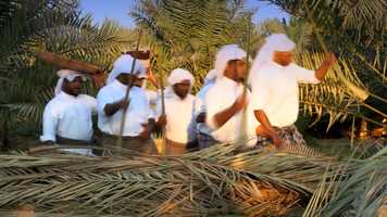 Free download Tv Program General Promo ايقاع الحياة video and edit with RedcoolMedia movie maker MovieStudio video editor online and AudioStudio audio editor onlin