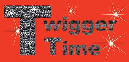 Free download Twigger Time Video Blog is Back! video and edit with RedcoolMedia movie maker MovieStudio video editor online and AudioStudio audio editor onlin