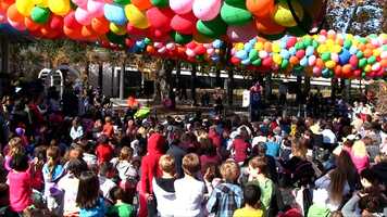 Free download Twinkle 2021 Sizzle.mp4 video and edit with RedcoolMedia movie maker MovieStudio video editor online and AudioStudio audio editor onlin