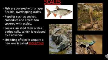 Free download UIIS_20200830_132256_classwork_1_243874 video and edit with RedcoolMedia movie maker MovieStudio video editor online and AudioStudio audio editor onlin