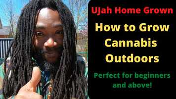 Free download UJah Home Grown - How to Grow Cannabis Outdoors Step by Step video and edit with RedcoolMedia movie maker MovieStudio video editor online and AudioStudio audio editor onlin
