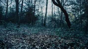 Free download Underzone Trailer HD_1080p video and edit with RedcoolMedia movie maker MovieStudio video editor online and AudioStudio audio editor onlin