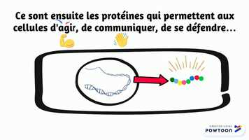 Free download Une molcule extraordinaire, lADN video and edit with RedcoolMedia movie maker MovieStudio video editor online and AudioStudio audio editor onlin