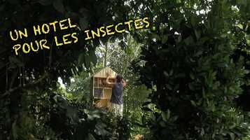 Free download UN HOTEL POUR LES INSECTES video and edit with RedcoolMedia movie maker MovieStudio video editor online and AudioStudio audio editor onlin