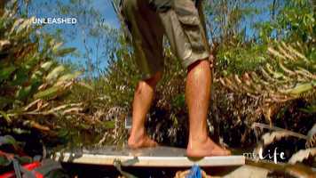 Free download Unleashed Episode 3 video and edit with RedcoolMedia movie maker MovieStudio video editor online and AudioStudio audio editor onlin