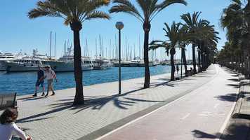 Free download Un minuto en Palma 2019-03-09 video and edit with RedcoolMedia movie maker MovieStudio video editor online and AudioStudio audio editor onlin