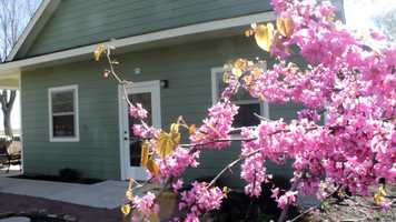 Free download Unseen Survivors Documentary Trailer video and edit with RedcoolMedia movie maker MovieStudio video editor online and AudioStudio audio editor onlin