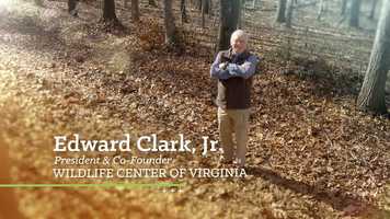 Free download Untamed - Critters Dont Need Litter Trailer video and edit with RedcoolMedia movie maker MovieStudio video editor online and AudioStudio audio editor onlin