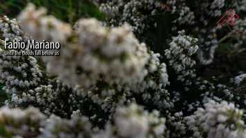 Free download Until the clouds fall below us (Promo) video and edit with RedcoolMedia movie maker MovieStudio video editor online and AudioStudio audio editor onlin