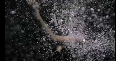 Free download Untitle video and edit with RedcoolMedia movie maker MovieStudio video editor online and AudioStudio audio editor onlin