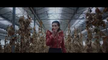 Free download UNUM Festival video and edit with RedcoolMedia movie maker MovieStudio video editor online and AudioStudio audio editor onlin