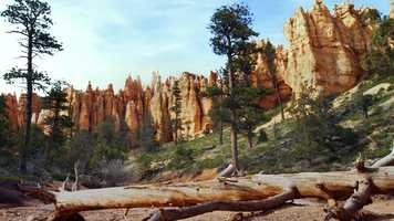 Free download UOT2020_Immediate_Sand_30_20200429_ESPN-Disney video and edit with RedcoolMedia movie maker MovieStudio video editor online and AudioStudio audio editor onlin