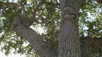 Free download UP- Education Programs video and edit with RedcoolMedia movie maker MovieStudio video editor online and AudioStudio audio editor onlin