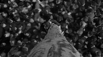 Free download U Pi Film Trailer video and edit with RedcoolMedia movie maker MovieStudio video editor online and AudioStudio audio editor onlin