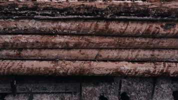 Free download Urbach Tower - Coming Spring 2019 video and edit with RedcoolMedia movie maker MovieStudio video editor online and AudioStudio audio editor onlin