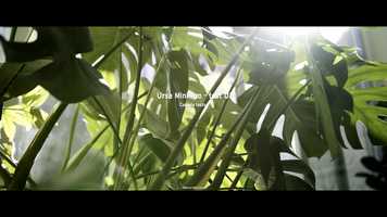 Free download Ursa Mini Pro - camera test video and edit with RedcoolMedia movie maker MovieStudio video editor online and AudioStudio audio editor onlin