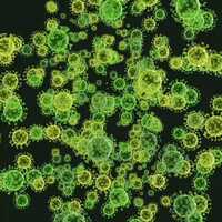 Free download Us1 immune support animation video and edit with RedcoolMedia movie maker MovieStudio video editor online and AudioStudio audio editor onlin