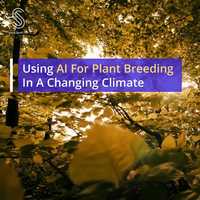 Free download Using AI For Plant Breeding In A Changing Climate video and edit with RedcoolMedia movie maker MovieStudio video editor online and AudioStudio audio editor onlin