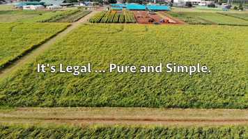 Free download v5-068 Highest Rated CBD in Provo Utah 84604 |.Factory6CBD.| Isolate | Call from: KS IA IN IL ID HI GA video and edit with RedcoolMedia movie maker MovieStudio video editor online and AudioStudio audio editor onlin