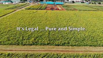 Free download v5-088 Highest Rated CBD in Bryce Utah 84764 |.Factory6CBD.| Isolate | Call from: OK OH ND NC NY NM NJ video and edit with RedcoolMedia movie maker MovieStudio video editor online and AudioStudio audio editor onlin