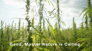 Free download v5-167 Top CBD Review in Richfield Utah 84701 |.Factory6CBD.com| Gummies | Call from: IL ID HI GA FL DC DE video and edit with RedcoolMedia movie maker MovieStudio video editor online and AudioStudio audio editor onlin