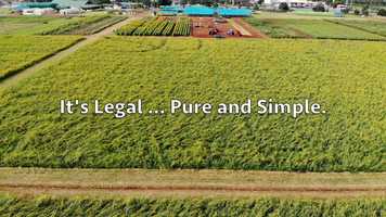 Free download v5-168 Highest Rated CBD in Santaquin Utah 84655 |.Factory6CBD.| Isolate | Call from: IN IL ID HI GA FL DC video and edit with RedcoolMedia movie maker MovieStudio video editor online and AudioStudio audio editor onlin