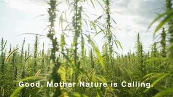 Free download v5-187 Top CBD Review in Newton Utah 84327 |.Factory6CBD.com| Gummies | Call from: NC NY NM NJ NH NV NE video and edit with RedcoolMedia movie maker MovieStudio video editor online and AudioStudio audio editor onlin