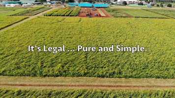 Free download v5-208 Highest Rated CBD in Park City Utah 84174 |.Factory6CBD.| Isolate | Call from: AR AZ AK AL WY WI WV video and edit with RedcoolMedia movie maker MovieStudio video editor online and AudioStudio audio editor onlin