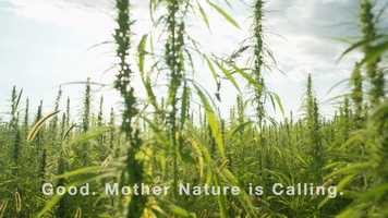 Free download v5-227 Top CBD Review in Ogden Utah 84413 |.Factory6CBD.com| Gummies | Call from: MI MA MD ME LA KY KS video and edit with RedcoolMedia movie maker MovieStudio video editor online and AudioStudio audio editor onlin