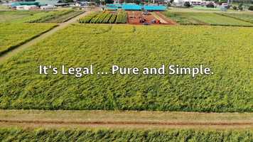 Free download v5-228 Highest Rated CBD in Dammeron Valley Utah 84784 |.Factory6CBD.| Isolate | Call from: MN MI MA MD ME LA KY video and edit with RedcoolMedia movie maker MovieStudio video editor online and AudioStudio audio editor onlin