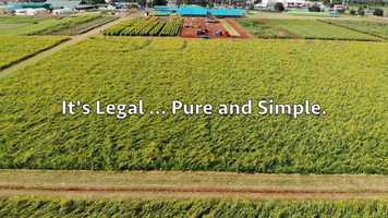 Free download v5-328 Highest Rated CBD in Salt Lake City Utah 84124 |.Factory6CBD.| Isolate | Call from: MA MD ME LA KY KS IA video and edit with RedcoolMedia movie maker MovieStudio video editor online and AudioStudio audio editor onlin