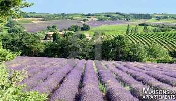 Free download VAISON-LA-ROMAINE - MAISON A VENDRE - 798 000  - 286 m - 9 pice(s) video and edit with RedcoolMedia movie maker MovieStudio video editor online and AudioStudio audio editor onlin