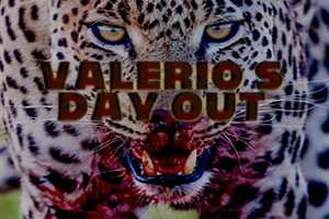 Free download Valerios Day Out - Trailer video and edit with RedcoolMedia movie maker MovieStudio video editor online and AudioStudio audio editor onlin