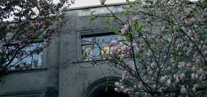 Free download vancouver video and edit with RedcoolMedia movie maker MovieStudio video editor online and AudioStudio audio editor onlin