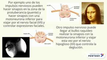 Free download Vas Piramidales video and edit with RedcoolMedia movie maker MovieStudio video editor online and AudioStudio audio editor onlin