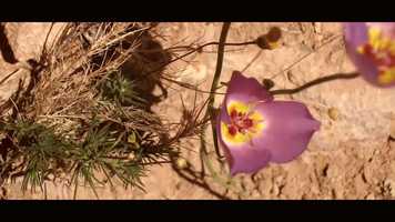 Free download Vaughan - Marjorie video and edit with RedcoolMedia movie maker MovieStudio video editor online and AudioStudio audio editor onlin