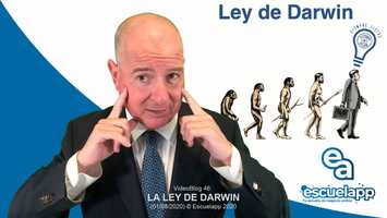 Free download VB46 LA LEY DE DARWIN (TRAILER) video and edit with RedcoolMedia movie maker MovieStudio video editor online and AudioStudio audio editor onlin