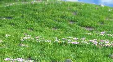 Free download VEDA Presents Animated Film Motherhood : Teaser video and edit with RedcoolMedia movie maker MovieStudio video editor online and AudioStudio audio editor onlin