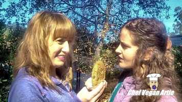 Free download VeganCookie video and edit with RedcoolMedia movie maker MovieStudio video editor online and AudioStudio audio editor onlin