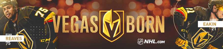 Free download Vegas Knights video and edit with RedcoolMedia movie maker MovieStudio video editor online and AudioStudio audio editor onlin