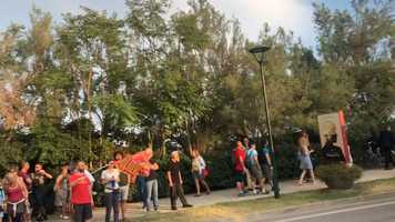 Free download Venice Climate Camp: we want the red carpet video and edit with RedcoolMedia movie maker MovieStudio video editor online and AudioStudio audio editor onlin